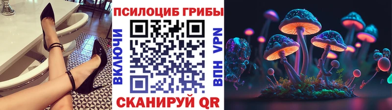 ссылка на мегу зеркало Облучье Галлюциногенные грибы Psilocybine cubensis